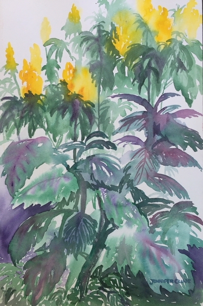 Allen Gardens