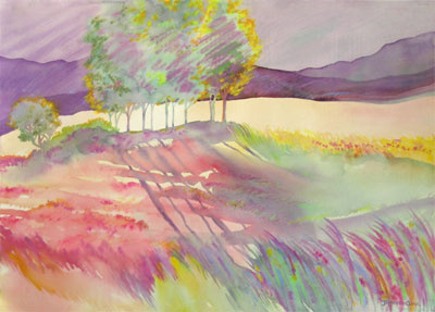 Field of Light