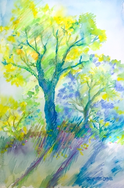 Spring Meadow